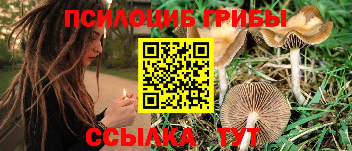 наркотики  Вход с VPN  Городец  Галлюциногенные грибы Magic Shrooms 