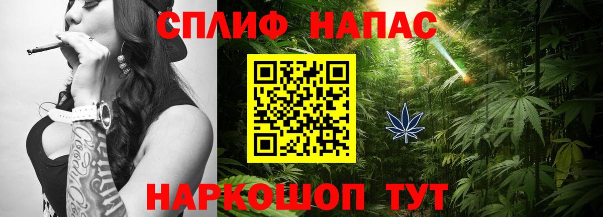 Шишки марихуана планчик  Шишки марихуана OG Kush  Вход с VPN  Городец  МАРИХУАНА семена 